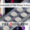 Anaconda Xl Pills Where To Buy 08